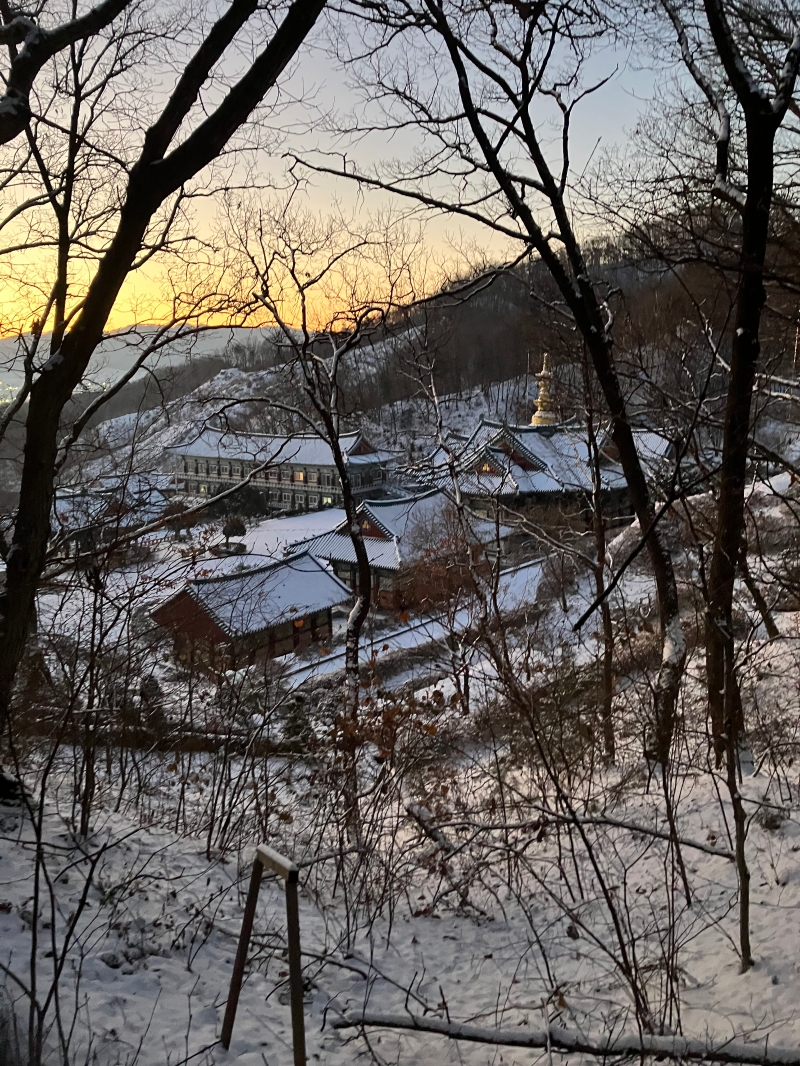 KakaoTalk_20251205_130625329.jpg 이미지