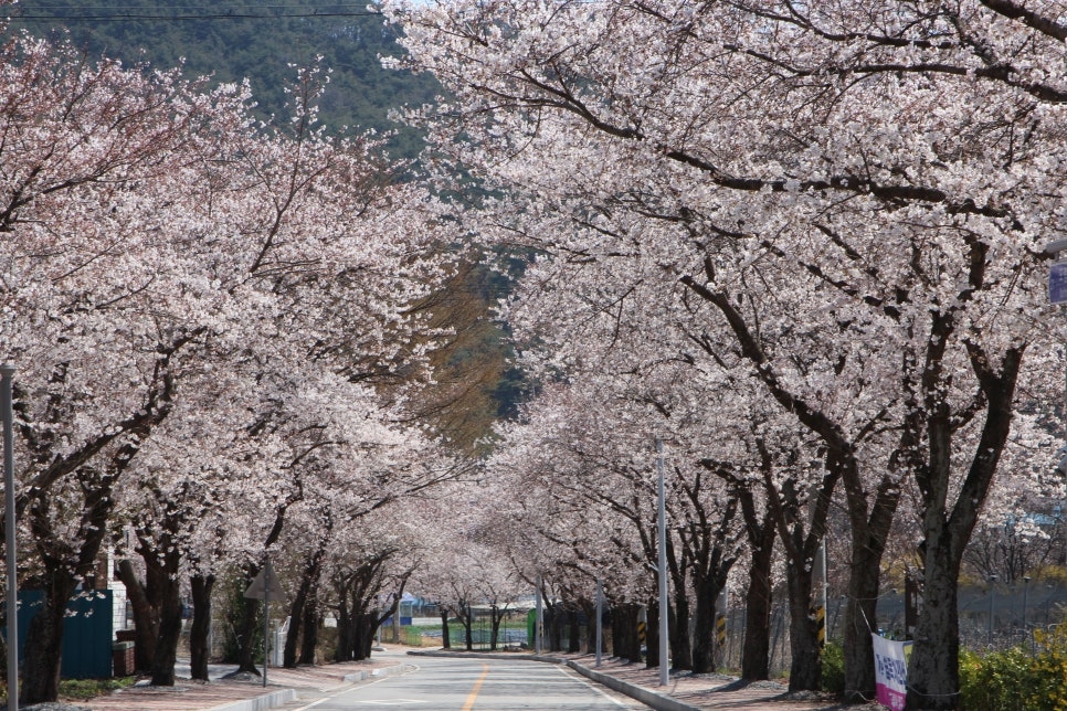 입구 2.jpg 이미지